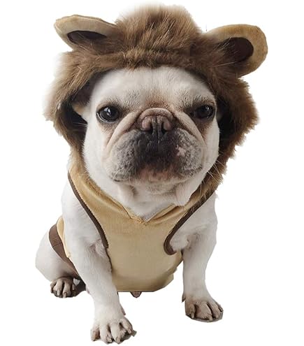 ぱんだ様❤️秋冬お洋服♡お帽子♡ハンドメイド犬服♡ ぱんだ様