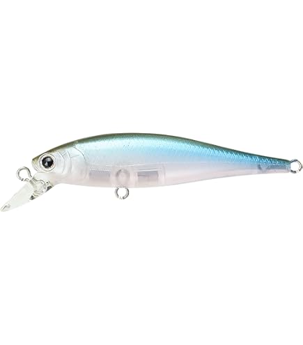 Amazon.co.jp: ラッキークラフトUSA(LUCKY CRAFT)ポインター50SS