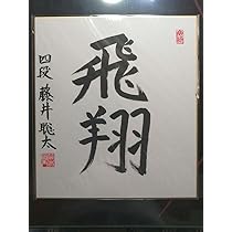 ★藤井聡太七冠　直筆色紙　四段時代　　本物　落款　極美品です。 藤井聡太七冠 『飛翔』直筆色紙 本物 落款 四段時代の本物品です