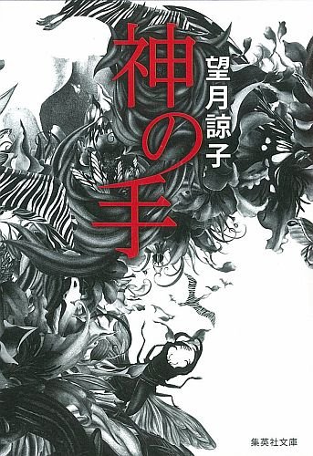 望月諒子:神の手 (集英社文庫)