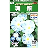 サカタのタネ 実咲花6028 朝顔 西洋系フライングソーサー 00906028