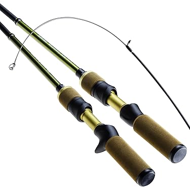 Amazon.co.jp 最新リリース: トラウトロッド の新着ランキングです。