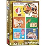 Eurographics the Five Sensesパズル ( 1000-piece )
