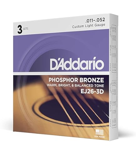 Amazon | L.R.BAGGS Element Active VTC アコースティックギター用