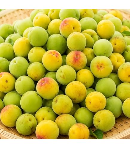 Amazon.co.jp: 梅 パープルキング 秀品 4L～Sサイズ 3kg 和歌山県産