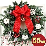 クリスマスリース 玄関 手作り[オレゴンモミのプレシャスリース]50ｃｍ～55 ホワイト