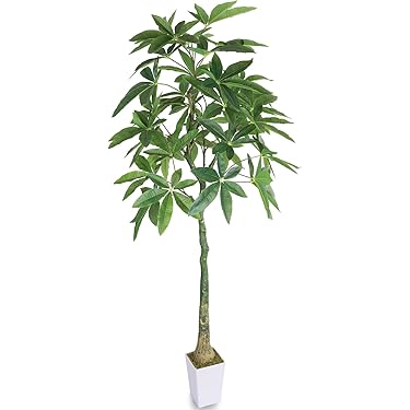 61C0ky5fcEL._AC_UL375_SR375,