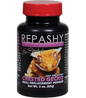 Amazon | GEX EXOTERRA ゲッコー飼育キット GT3045 爬虫類用