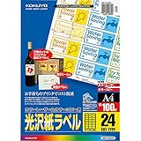 コクヨ(KOKUYO) カラーレーザー カラーコピー ラベル 光沢 24面 100枚 LBP-G1924