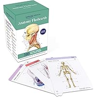 Anatomy Flashcards: 300 Flashcards with Anatomically Precise Drawings and Exhaustive Descriptions + 10 Customizable Bonus Car