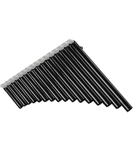 Amazon | STARTIST パンフルート民族楽器簡単学習スライド口吹く