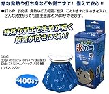 安全サイン8 氷のう 熱中症対策用品 CN5501