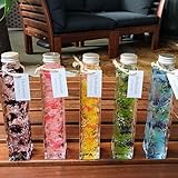 ビンの中におとじ込められたおしゃれな植物や花と液体　　 「ハーバリウム」 角瓶タイプ お祝い 誕生日プレゼントやインテリアに癒やしの空間 (フルカラー)