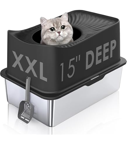 Amazon Best Cat Litter Boxes For Large Cats Cove Modern Litter Box