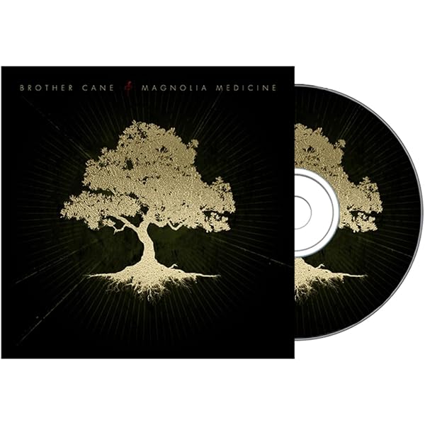 Amazon.co.jp: Brother: ミュージック