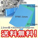 第一大宮 養生くん PP2.3mm (30枚/セット) 緑