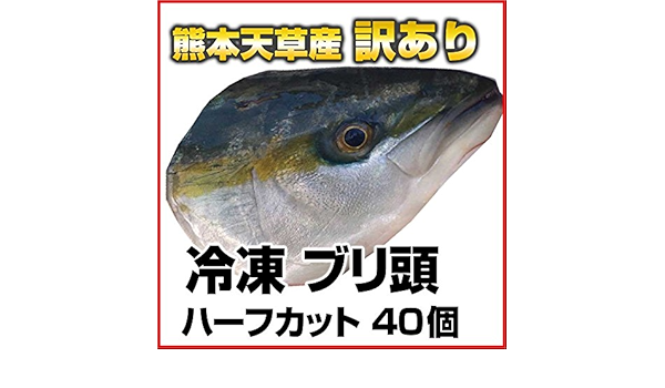 Amazon 熊本県海水養殖漁業共同組合 訳あり 冷凍 ブリ頭 ブリカマ 熊本 天草産 ハーフカット 40個入 熊本県海水養殖漁業共同組合 鮮魚 通販