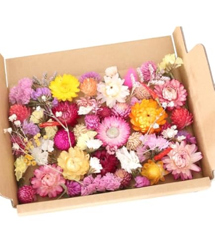 Amazon | レンデフロール（Reine De Fleur） ハンドメイドドライ