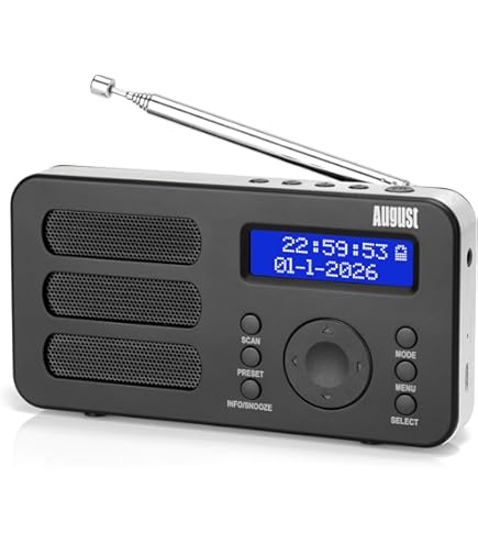 PANASONIC RF-D1 DAB FM Digital Radio Alarm/Stereo Speakers Battery £12