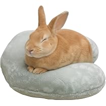 Amazon.co.jp: ふわもこ サポートU字ピロー うさぎ クッション まくら
