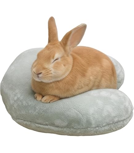 Amazon.co.jp: TAVO Shell シェル Latte ラテ 犬用 猫用 ペットベッド
