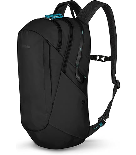 Amazon.co.jp: Pacsafeの盗難防止用バックパックとバッグ