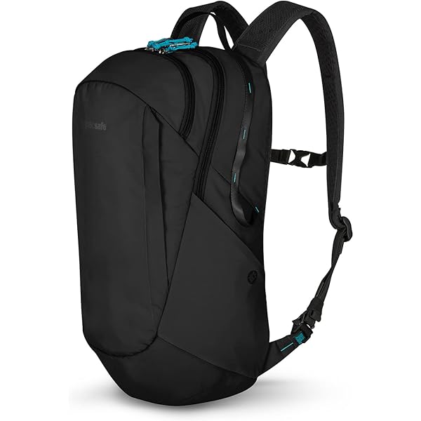 pacsafe Vibe20Lバックパック・鍵付き　ライトグレー PacSafe pacsafe パックセーフ 12970186 VIBE 20 バイブ20
