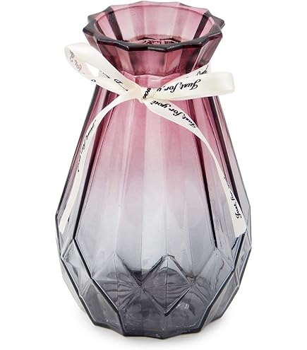 Amazon.co.jp: 安齋賢太 安斎賢太 黒田泰蔵 安藤雅信 三谷龍二 内田鋼