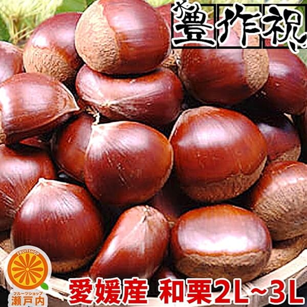 akisamiyo ３Ｌサイズ　５キロ　農薬不使用生栗　茨城県産 楽天市場】茨城県産 栗 （くり）みのりの栗 2L〜3Lサイズ 約1kg