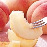 山形県産 桃 白桃 2kg (共撰 秀品/無袋栽培/柔らかめ/5-8玉入り/冷蔵品) もも モモ 桃 はくとう 山形県 果物 フルーツ お取り寄せ