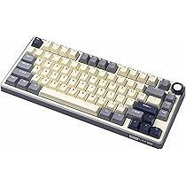 【メカニカルキーボード】 Kludge RK M75 試打のみ RK最高傑作】RK M75 レビュー 神メカニカルキーボード 【ROYAL