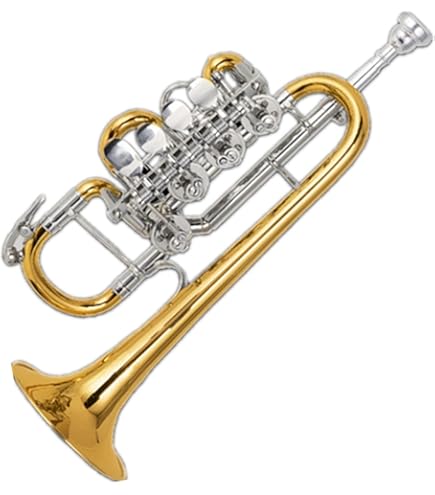 【動作良好】ベーニング＆サンズ バストランペット ファンアンサンブル Amazon.co.jp: Behning & Sons ロータリー バストランペット