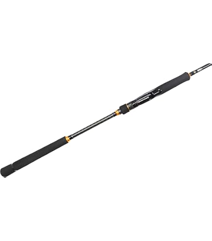 Amazon.co.jp: メジャークラフト ライトショアジギングロッド ベイト 3