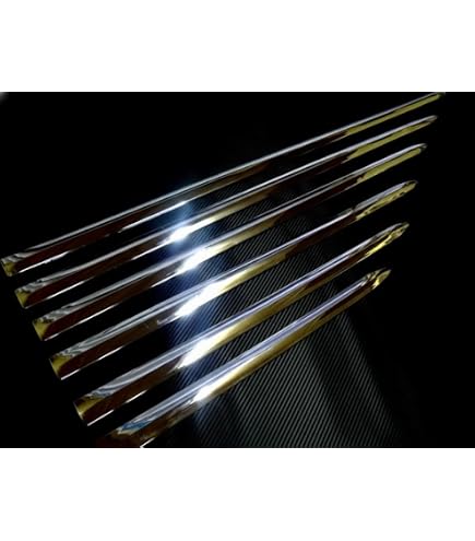 Amazon | BRIGHTZ インサイト ZE2 超鏡面ブラックメッキステンレス