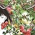 メーデー(初回限定盤)