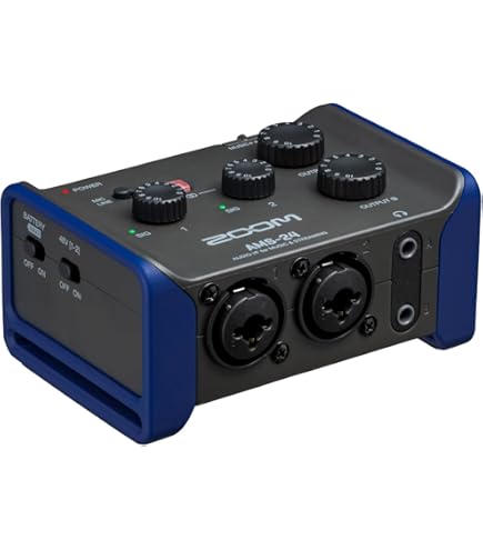 Amazon.co.jp: ボス BOSS デジタルレコーダー MICROBR/BR-80 MTRモード