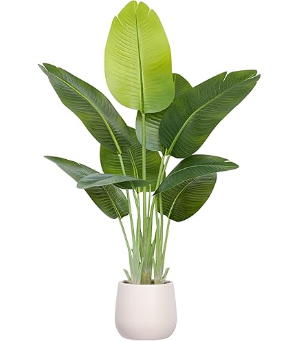 Amazon｜フェイクグリーン ゴムの木 150cm 1台 【 観葉植物 フェイク