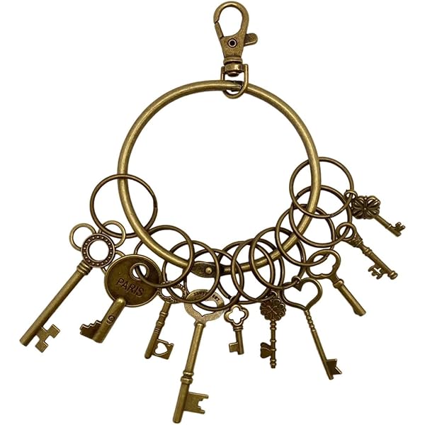 Amazon.co.jp: [BLESSUME] スチームパンク 雑貨 ファッション 鍵型