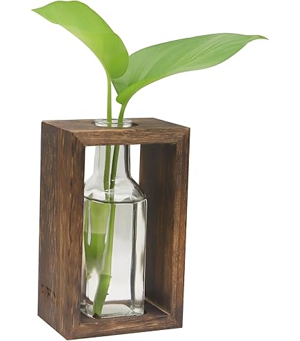 Amazon.co.jp: 世界遺産 屋久杉 花瓶 華道 高さ19cm 壺 花器
