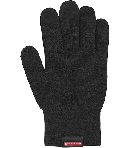 Amazon | MIZUNO(ミズノ) スキー グローブ タッチパネル操作可能