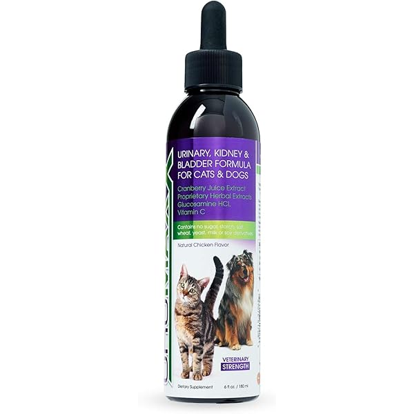 cat supplement for urinary health