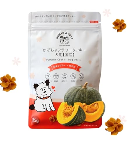 Amazon.co.jp: オレンジエックス（つめかえ用750ml) (2本) : ドラッグ