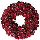 大橋新治商店 木の実のリース Natural Wreath リース 30cm レッド 28-036