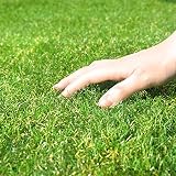 【特別サイズ】アイリスオーヤマ(IRIS OHYAMA) 国産 人工芝 3×5m 本物のような触り心地 30mm U字ピン40本付き IP-3035
