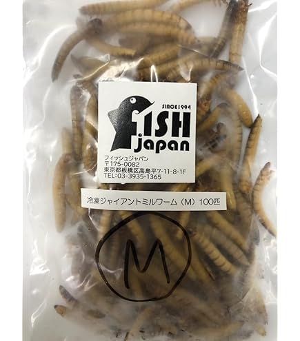 Amazon | 冷凍ジャイアントミルワーム（L）100匹 (ジャイアント