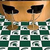 Michigan State Spartans NCAAチームロゴカーペットタイル