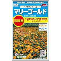 Amazon | サカタのタネ 実咲花5911 景観用大袋 マリーゴールド