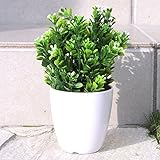 人工観葉植物（07）　リアルでかわいい おしゃれなグリーン 【 造花 雑貨 】