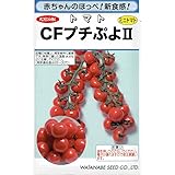 渡辺採種場　ミニトマト　CFプチぷよ２　小袋