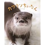 カワウソちぃたん